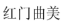 游艇会yth曲美.png